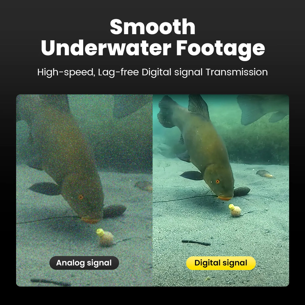 Chasing CF1 (30M) Underwater Fishing Camera