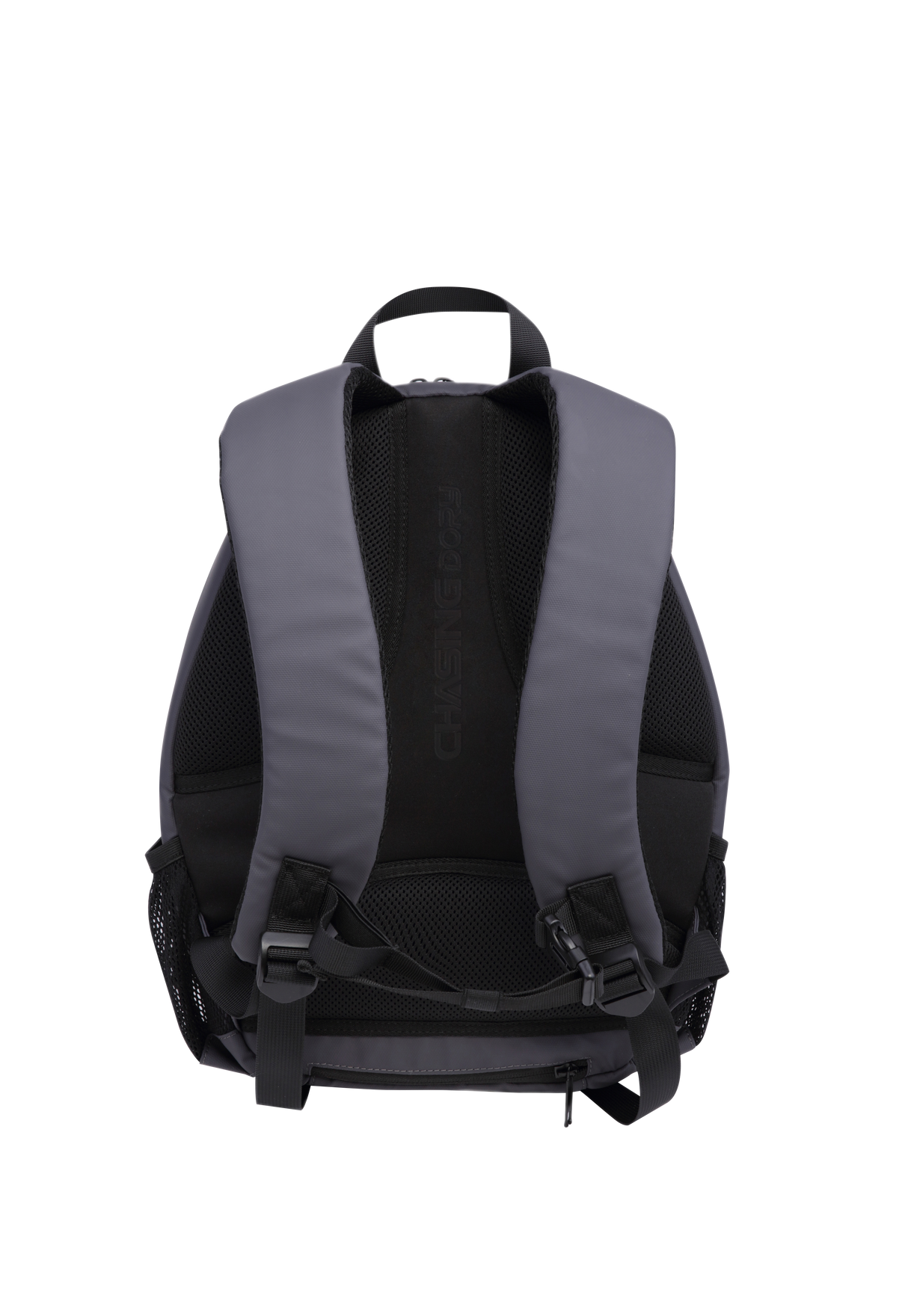 Chasing Dory Backpack