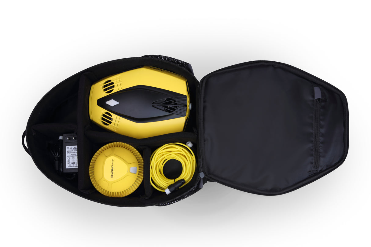 Chasing Dory Backpack