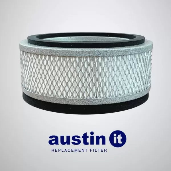 Austin Air "it" filters