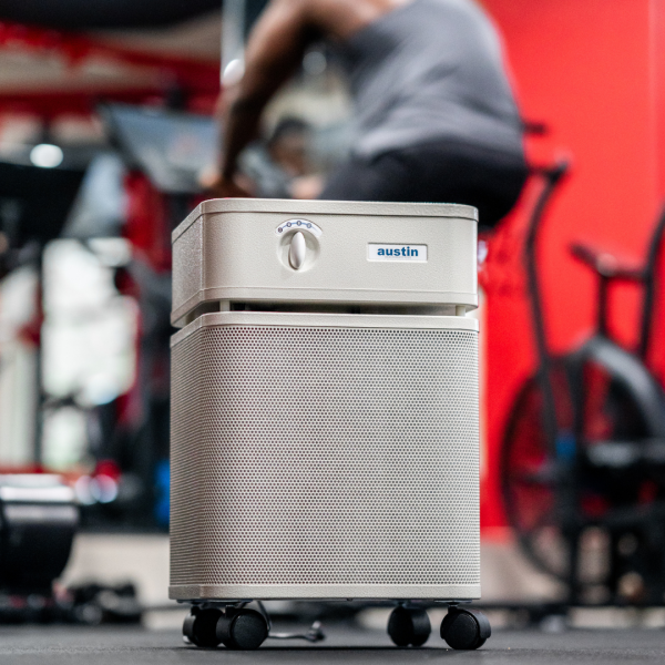 Austin Air Healthmate Plus® Air Purifier