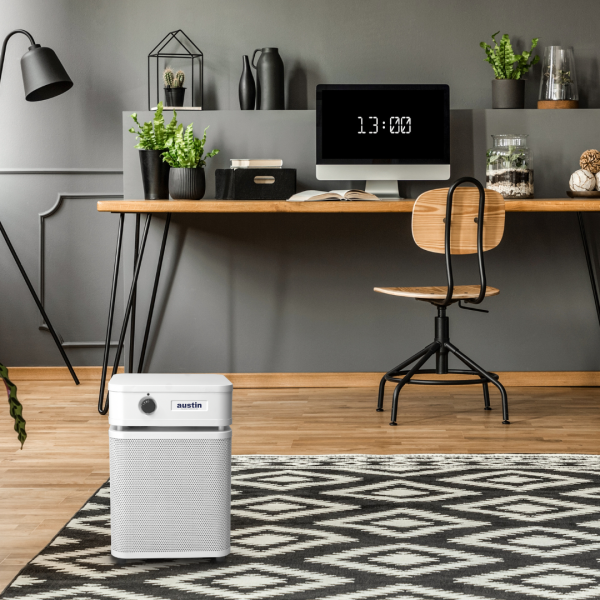 Austin Air HealthMate Plus Junior Air Purifier